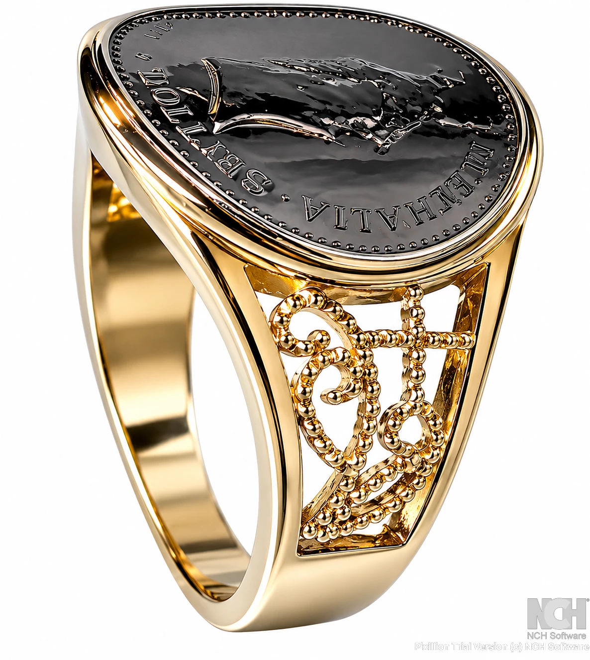PT coin + 9y signet ring